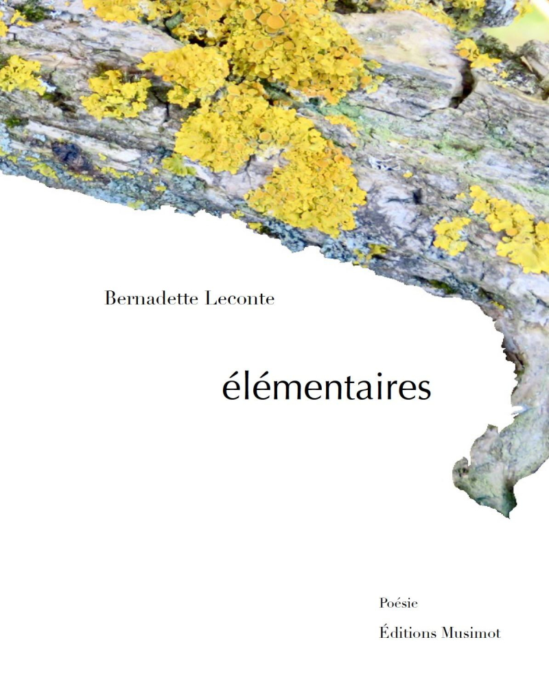 E-le-mentaire-couverture