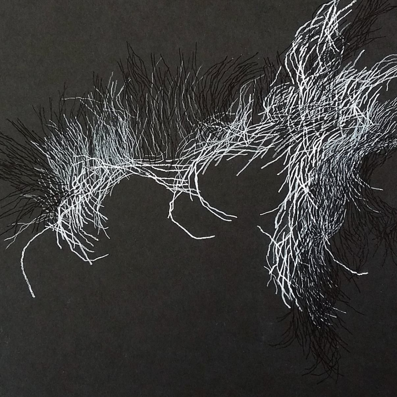 45467578_2692033401021907_3983948630829563904_n