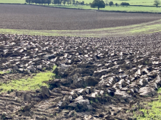 La terre ... La terre ...