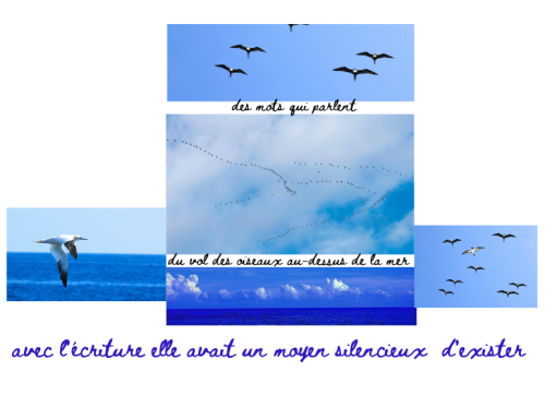 Collage(1)(2) Collage(1)(2)