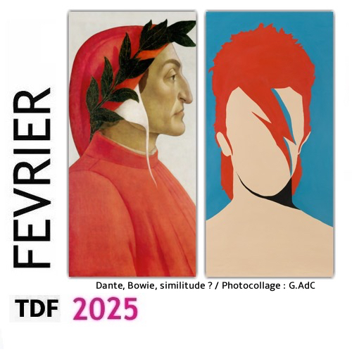 TDF FEV 2025 TDF FEV 2025