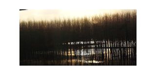 Les rejetons pleutres Les rejetons pleutres