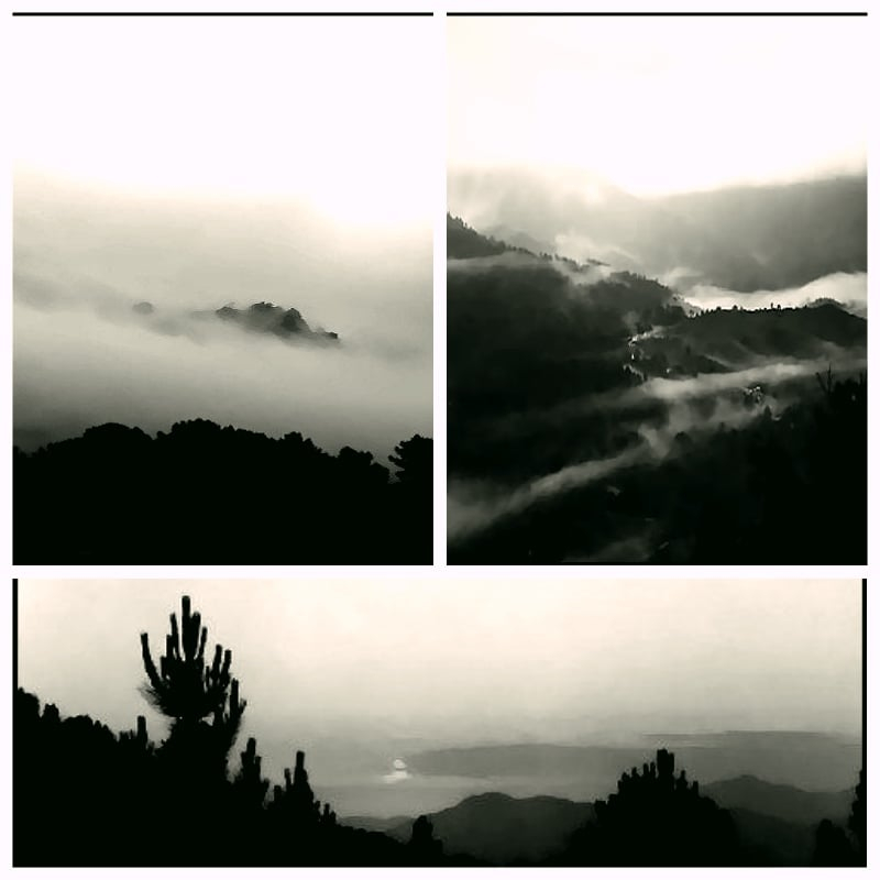 274362743-10228110936466841-1864450697823846078-n