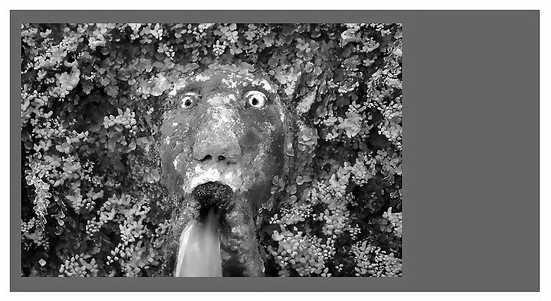 Retomber en larmes de feuille