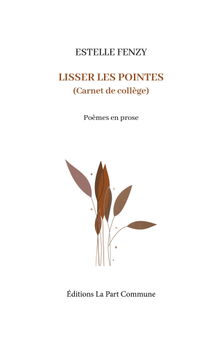 1ere-de-couverture-FENZY_Lisser-les-pointes-scaled 1ere-de-couverture-FENZY_Lisser-les-pointes-scaled