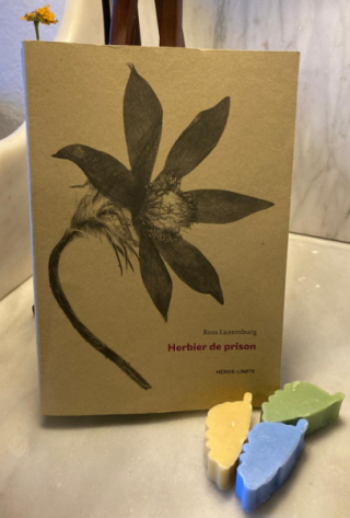 Luxembourg bis(1) Luxembourg bis(1)