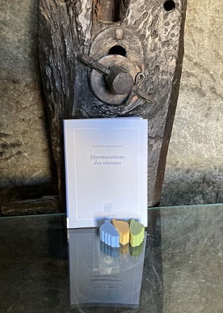 Murmurations des oiseaux photo angèle paoli Murmurations des oiseaux photo angèle paoli