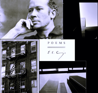 Collage portrait(1)(1) Collage portrait(1)(1)