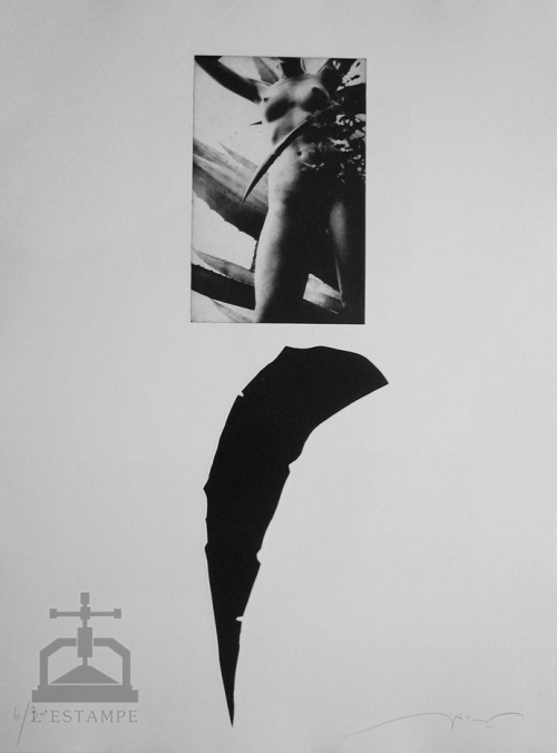 CACTUS20-20aquatinte20originale20de20JoC3ABl20LEICK-3898_1 CACTUS20-20aquatinte20originale20de20JoC3ABl20LEICK-3898_1