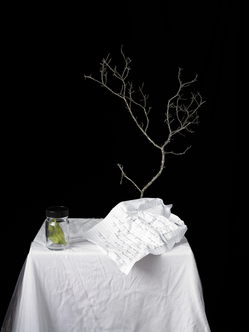 Nikouline-natacha-la-mal-de-blancheur2