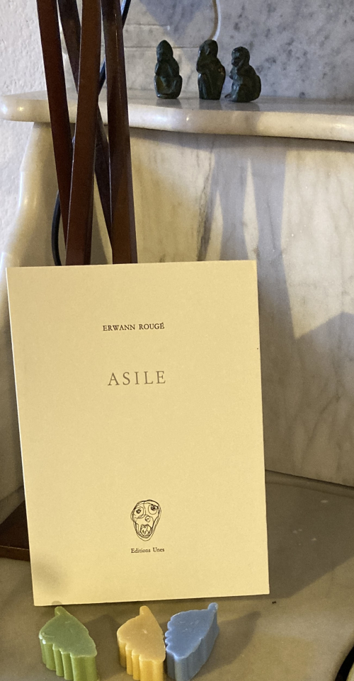 IMG_1105 (1) IMG_1105 (1)