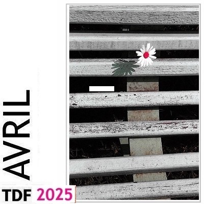 TDF AVRIL 2025