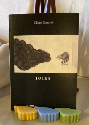 JOIES(1)(1) JOIES(1)(1)