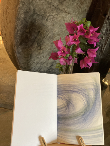 6a00d8345167db69e202e861068465200d-500wi