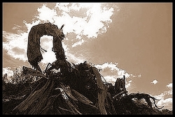 L'esprit des mazzeri 01_lesprit_des_mazzeri