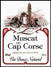 Reconverti dans la vigne 02_reconverti_dans_la_vigne