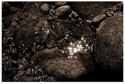 flotter dans le liquide 03_flotter_dans_le_liquide