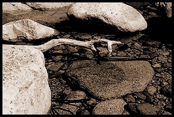 la part sauvage de sa personne 04_la_part_sauvage_de_sa_personne__1