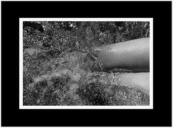 DIX lola 4 13_dans_leau_vive_lola_