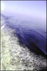 1_saluer_dune_ovation_pieuse