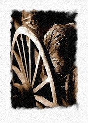 Un_crissement_dessieu