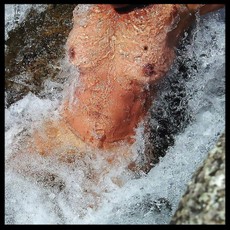 ces vestales assoiffées d’absolu et de pureté, vouées par vocation à une sensuelle chasteté Voues_par_vocation__une_sensuelle_c