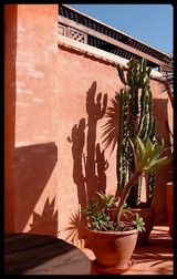 Un_chapelet_de_soleils_2