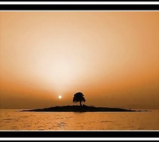 Da breve sævitiæ spatium, pelagique tuæque J