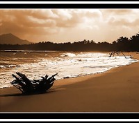 Ut terra invenias, quis eam tibi tradet habendam ? D