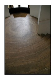 Attendre_ptrifie_immobile_parmi_les