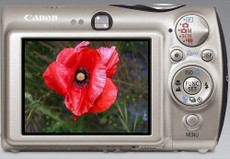 J'immortalise le pavot Jimmortalise_le_pavot