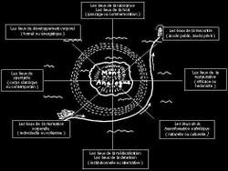 Schema_daumal__2_en_noir