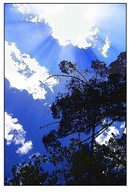 3et_cest_dj_lt_grandi_dans_le_solei