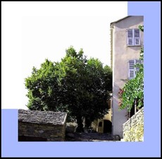 Tout au long du jour, il propage son ombre bienfaisante sur la terrasse entière Son_ombre_bienfaisante_sur_la_terra