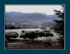 Dans_le_froid_immobile_mais_vivant_