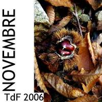 Logo_novembre_2006