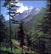 Le train du Chemin de fer corse dans la forêt de Vizzavona. Au-dessus, le Monte d'Oru Le_train_a_vizzavona_en_haut_le_mon