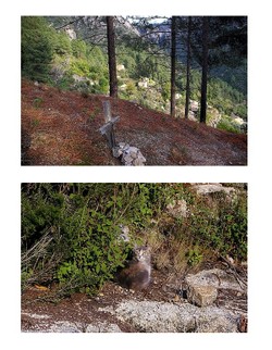 Muna en novembre 2007 Muna_novembre_2007_2