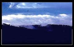 J'ai perdu l'oiseau j'ai perdu Jai_perdu_loiseau_jai_perdu