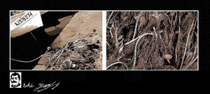 pas de grand navire dans le port, quelques barques de pêcheurs Pas_de_grand_navire_dans_le_port_qu