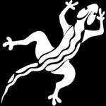 Salamandre Salamandre