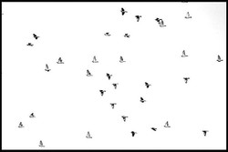 Partition onirique Partition_onirique