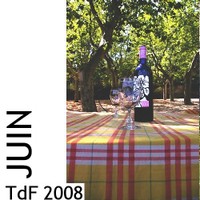 TdF ― juin 2008 Logo_tdf_juin_2008