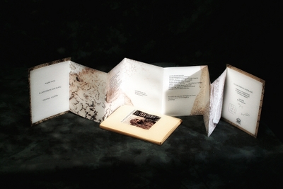 A l'aplomb du mur blanc, juin 2008 A_laplomb_du_mur_blanc_veronique__3