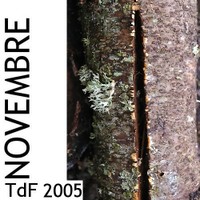 TdF ― novembre 2005 11logo_novembre_2005