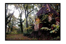 Douceur d'automne et son grain d'amertume Douceur_dautomne_et_son_grain_damer