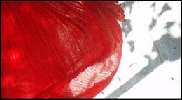 Lvasement_de_la_personne