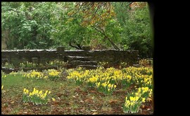 dans l’incertaine attente de l’adolescence… Dans_lincertaine_attente_de_ladoles