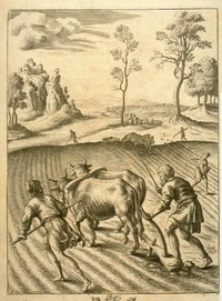 Virgile, Les Géorgiques Gorgiques_virgile