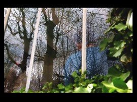 Larbre_est_le_frre_de_larbre_ou_son